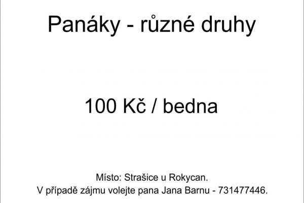 panaky89EAA010-B1E6-43F9-574E-07C6A9159D64.jpg